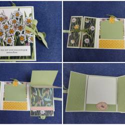 Mini album  f�vrier 2022